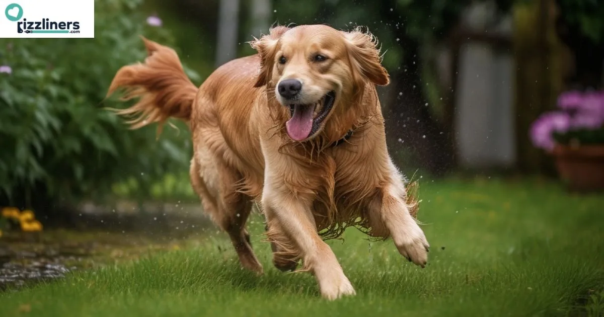 Dog Rizz Lines