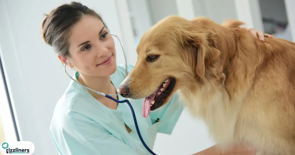veterinarian pick-up lines