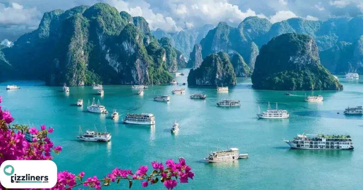 Vietnam Rizz Lines