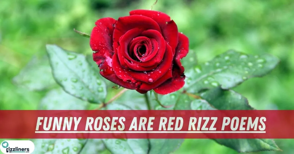 Funny Roses are red rizz poems