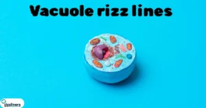 Vacuole rizz lines