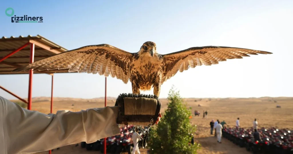 Funny Hawk Pick Up Lines