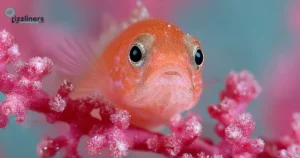 Fish Birthday Pickup Lines