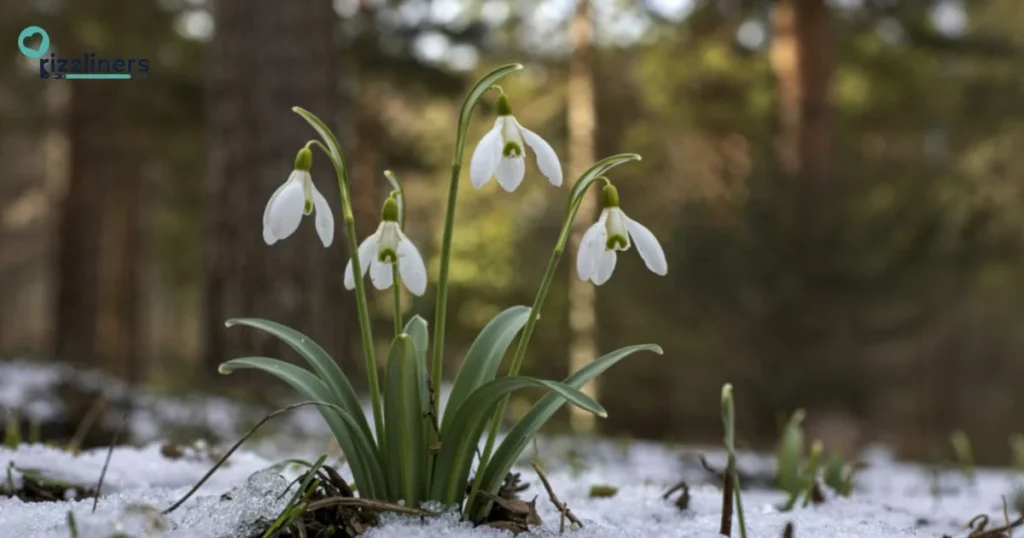 Funny Delicate Pickup Lines